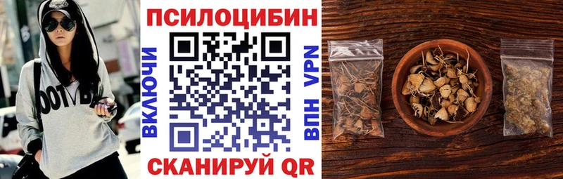 закладка  Сыктывкар  Псилоцибиновые грибы MAGIC MUSHROOMS 