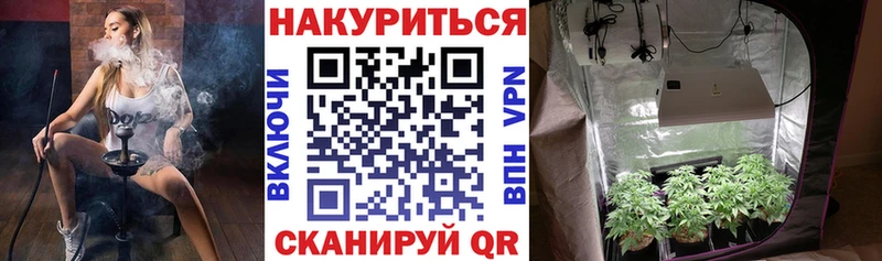 Каннабис сатива  Сыктывкар 